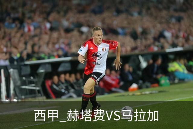 西甲 赫塔费VS马拉加