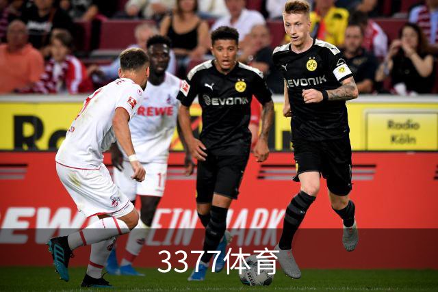 3377体育公司简介
